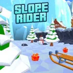 Play Game Slope Rider now !